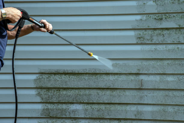 Pressure Washing Brick in East Lake Orient Park, FL