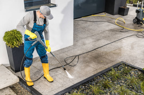 Best Roof Pressure Washing  in East Lake Orient Park, FL